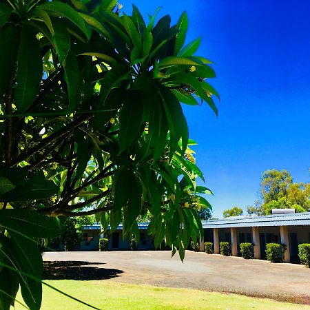 Balonne River Motor Inn Saint George Ngoại thất bức ảnh